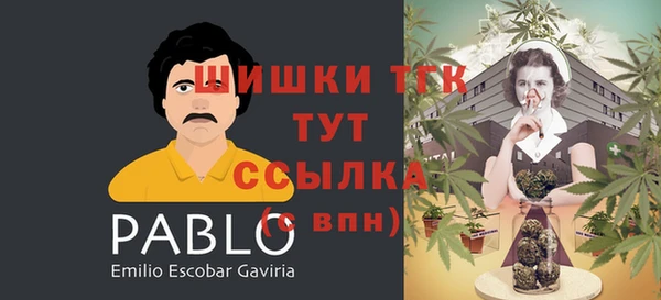 гидропоника Абинск
