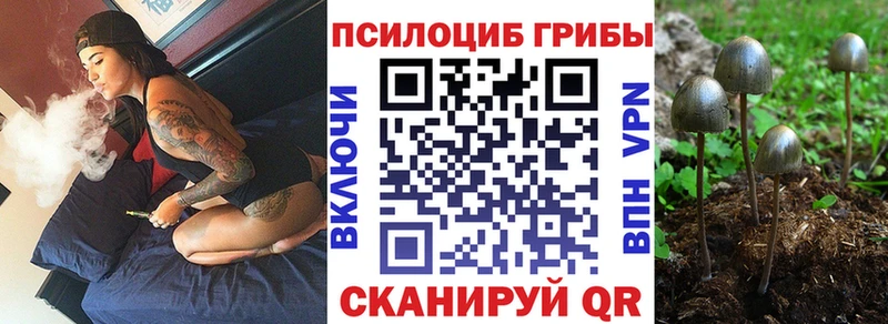 shop официальный сайт купить наркотик Североморск Псилоцибиновые грибы прущие грибы