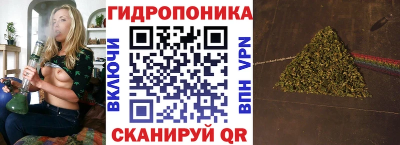 продажа наркотиков  Североморск  Бошки Шишки VHQ 